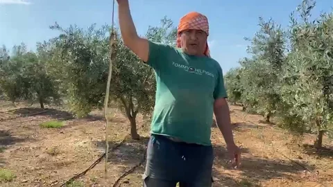 Antalya'da Karpuz Serasında Yılanla Karşılaştı