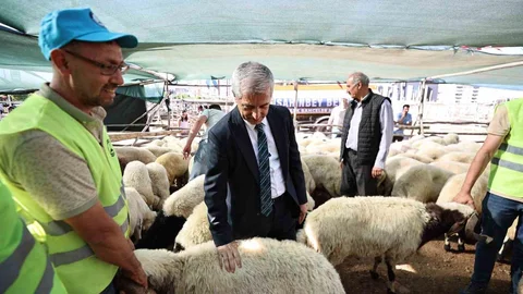 Gaziantep'te Kurban Fiyatları Açıklanacak