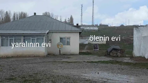 Van'da Köpek Dehşeti Görüntüleri Ortaya Çıktı