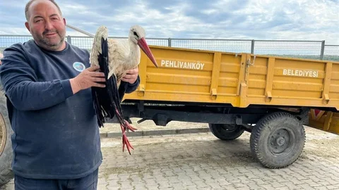 Kırklareli'de Yaralı Leyleğe Yardım Eli