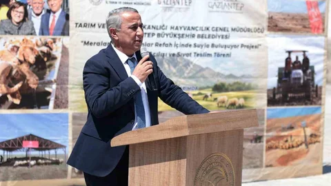 Gaziantep'te Üreticilere Hibeli Sıvat Dağıtımı