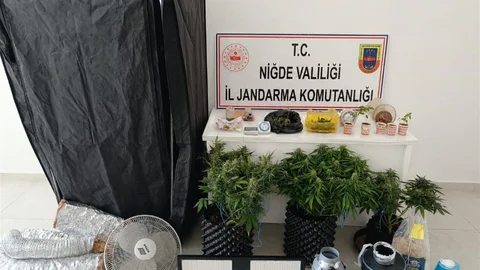 İklimlendirme Sistemiyle Yasa Dışı Ekim Yapıldı