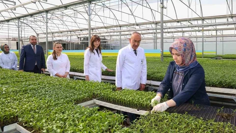 Konya'da Yeni Fide Sezonu Başladı