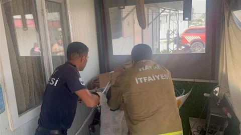 Antakya'da Yılan Korkusu Yaşandı