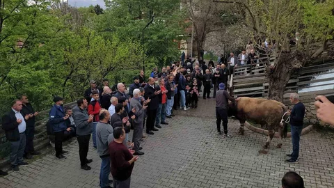Kemaliye'de Şükür Kurbanı Geleneği Yaşatıldı