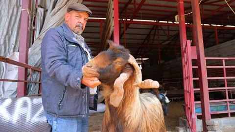 Kahramanmaraş'ta Kurbanlık Fiyatlarına İndirim Yapıldı