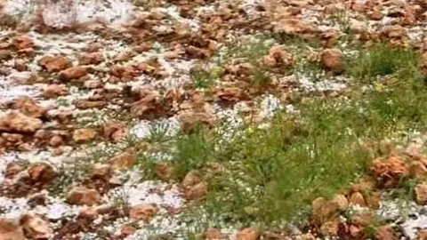 Gaziantep'te Dolu Yağışı Zarar Verdi