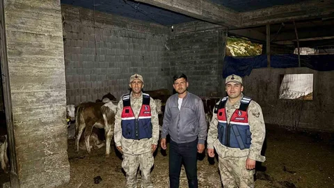 Kilis'te Kaybolan Hayvanlar Bulundu