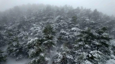 Tokat'ta Bahar Karı Görüntüleri