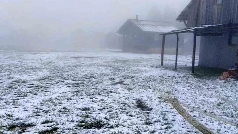 Sakarya'da Kar Yağışı Etkili Oldu