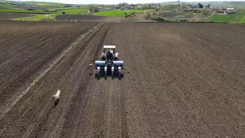Tekirdağ'da Ayçiçeği Ekim Çalışmaları Devam Ediyor