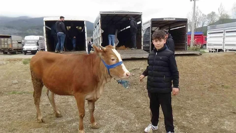 Bolu'da Küçük Bir Celepçi Var