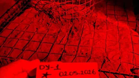 İztuzu'nda İlk Caretta Yuvası Koruma Altında