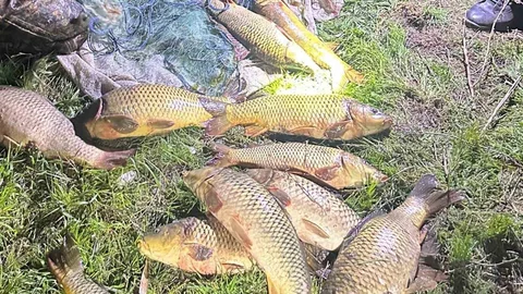Eğirdir Gölü’nde Kaçak Avcılık Suçüstü