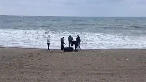 Sakarya'da Uyuşturucu Ele Geçirildi
