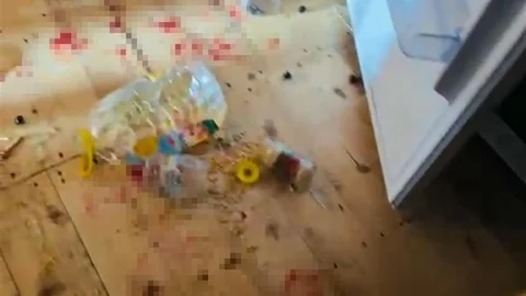 Gümüşhane'de Ayı Sorunu Devam Ediyor