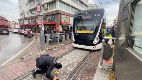 Antalya'da Kedi Alarmı