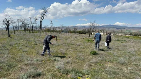 Eskişehir'de Dolaman Mantarına Av