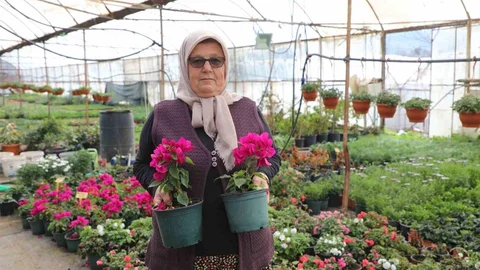 Kadınların Emeğiyle Üretilen Çiçekler Muğla'yı Güzelleştiriyor