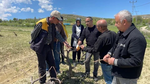 Elazığ'da Tarla Okulu Eğitimleri Başladı