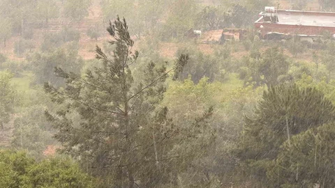 Kahramanmaraş'ta Sağanak Yağış Etkili Oldu