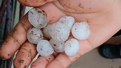 Araban'da Dolu Yağışı Panik Yarattı