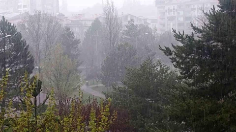 Sivas'ta Kuvvetli Yağışlar Etkili Oldu