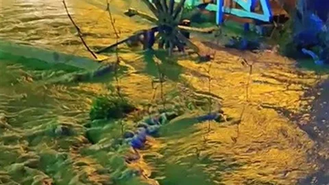 Erzincan'da Sağanak Yağış Etkili Oldu