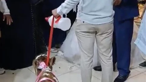 Osmaniye'de Düğünde Sürpriz Hediye