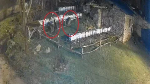 Bayburt'ta Ayıların Arılığı Talanı