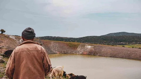 İzmir'de Hayvanlara Su Kaynağı Göletler Yapılıyor