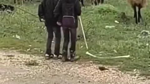 Elazığ'da Minik Çobanların Halay Eğlencesi