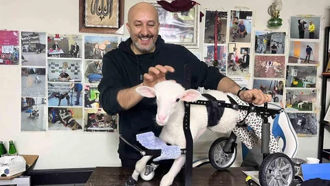 Demir Ustası Felçli Hayvanlara Umut Oluyor