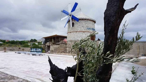 Tarihi Yel Değirmeni Ege Rüzgarıyla Yeniden Canlanıyor