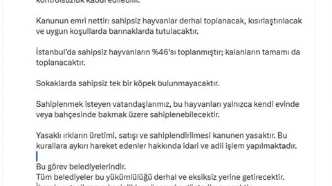 İstanbul'da Sahipsiz Hayvan Toplama Süreci Devam Ediyor