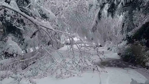 Bolu'da Sürpriz Kar Yağışı