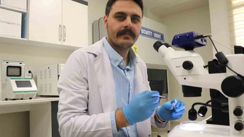 Sivas'ta Kene Vakaları Artıyor