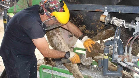 Korkuteli’nde Ücretsiz Tırnak Bakımı Hizmeti Sağlandı