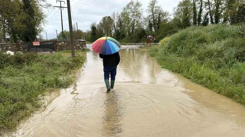 Düzce'de Sağanak Nedeniyle Köprü Yıkıldı