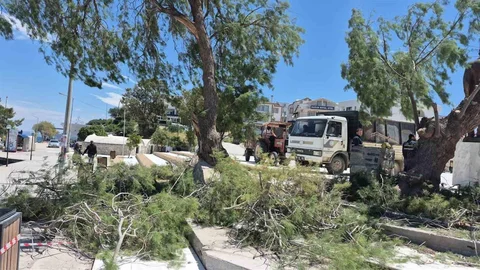 Datça'da Rüzgar Tehlike Yarattı
