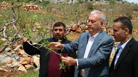 Araban'da Fırtına Tarım Arazilerine Zarar Verdi