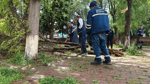 Gaziantep'te Fırtına Sonrası Temizlik Çalışmaları