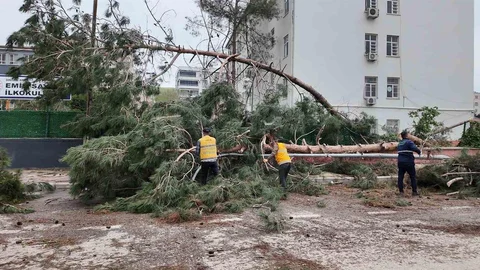 Birecik'te Afet Sonrası Çalışmalar Devam Ediyor