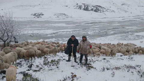 Isparta'da Çobanlar Ve Hayvanlar Mahsur Kaldı