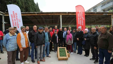 500 Bin Ata Tohumundan Fide Dağıtımı