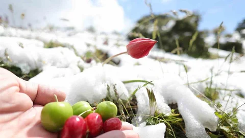 İki Mevsim Bir Arada Manisa'da