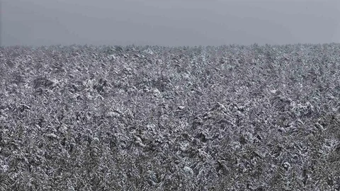Eskişehir’de Kar Manzarası Hayranlık Uyandırdı