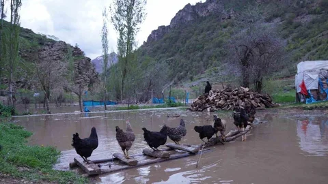 Şırnak'ta Sel Felaketi Yaşandı