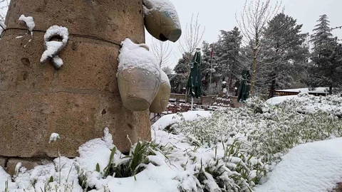 Aksaray'da Mayıs Ayında Kar Yağdı