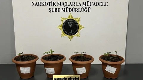Samsun'da Uyuşturucu Operasyonu Gerçekleşti